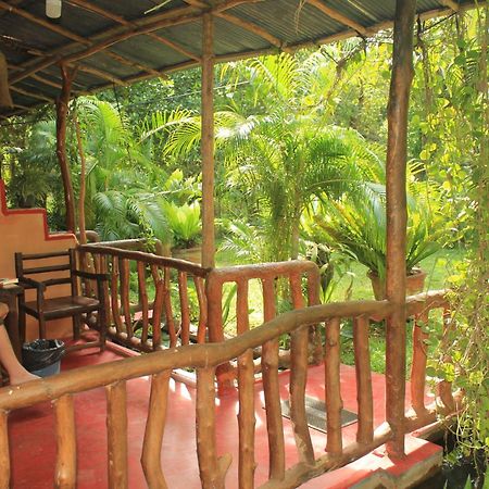 Sigiriya Nature View Home Stay Eksteriør bilde