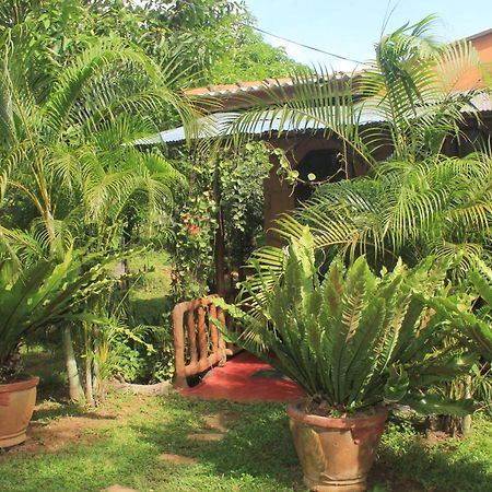 Sigiriya Nature View Home Stay Eksteriør bilde