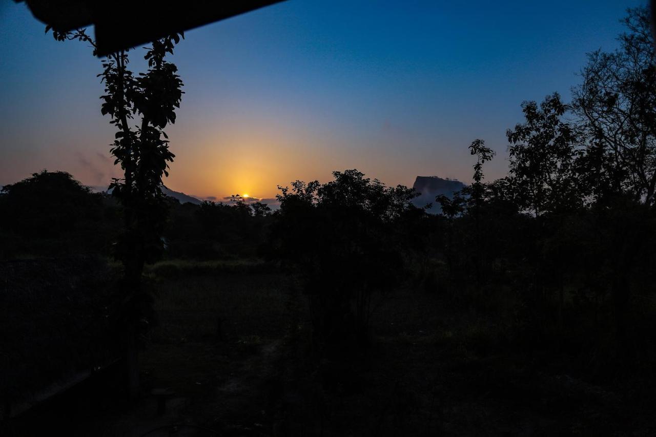 Sigiriya Nature View Home Stay Eksteriør bilde