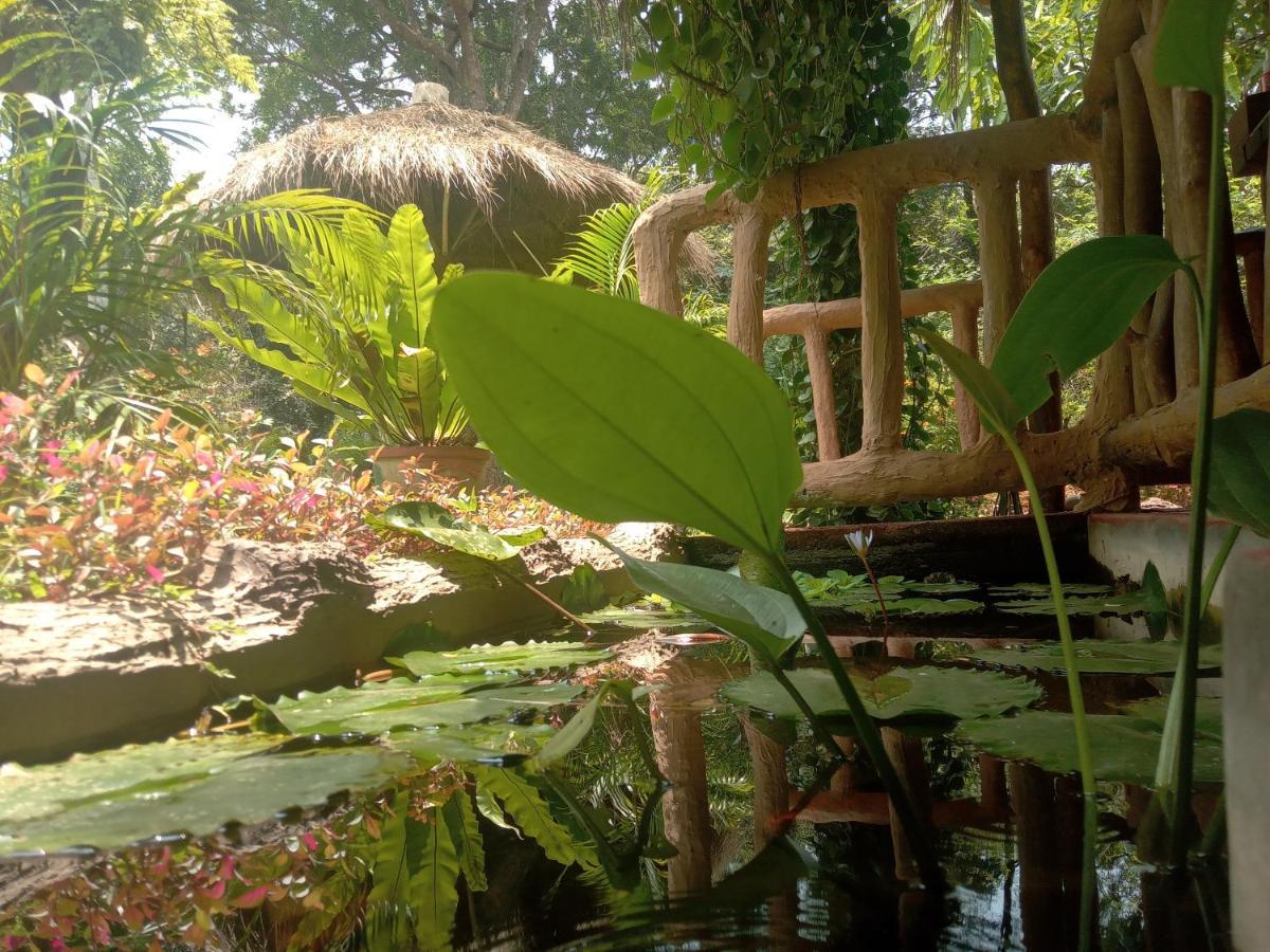 Sigiriya Nature View Home Stay Eksteriør bilde