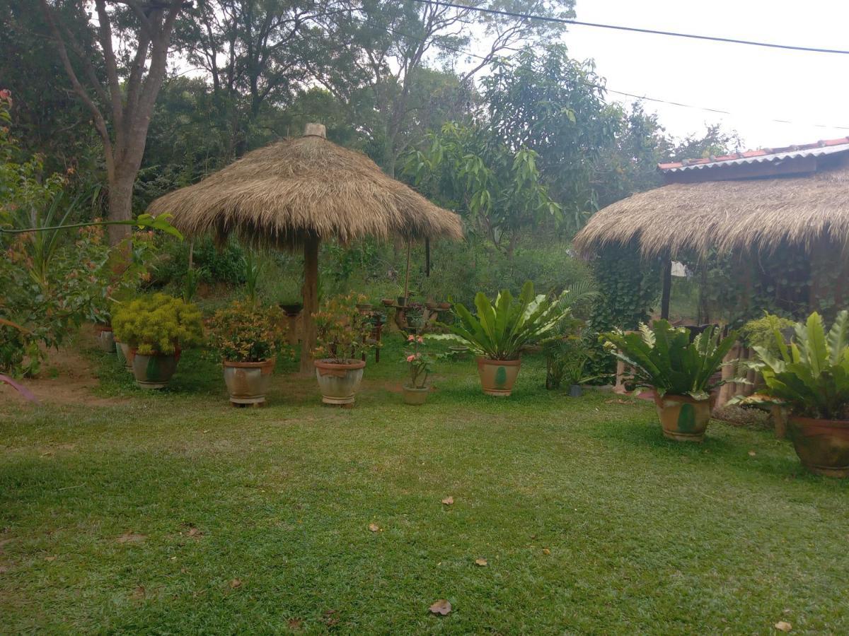 Sigiriya Nature View Home Stay Eksteriør bilde