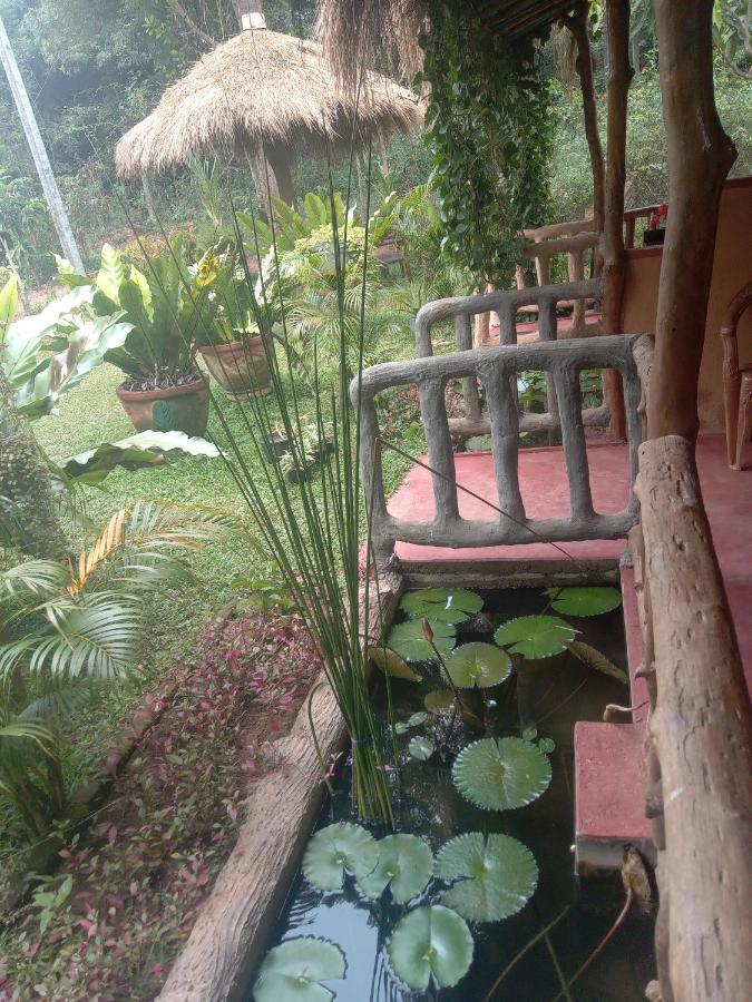 Sigiriya Nature View Home Stay Eksteriør bilde
