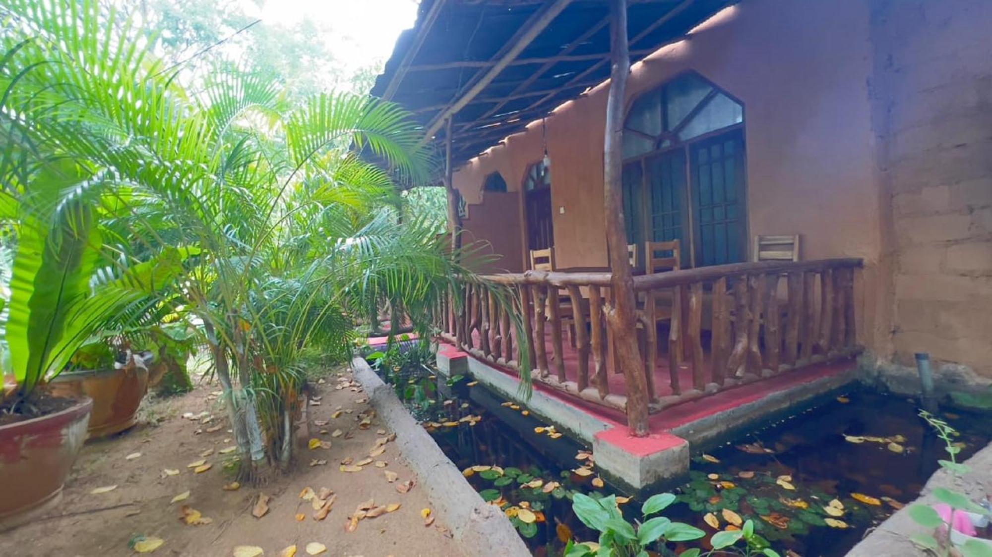 Sigiriya Nature View Home Stay Eksteriør bilde