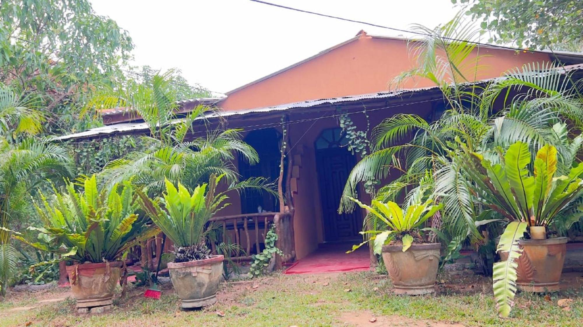 Sigiriya Nature View Home Stay Eksteriør bilde