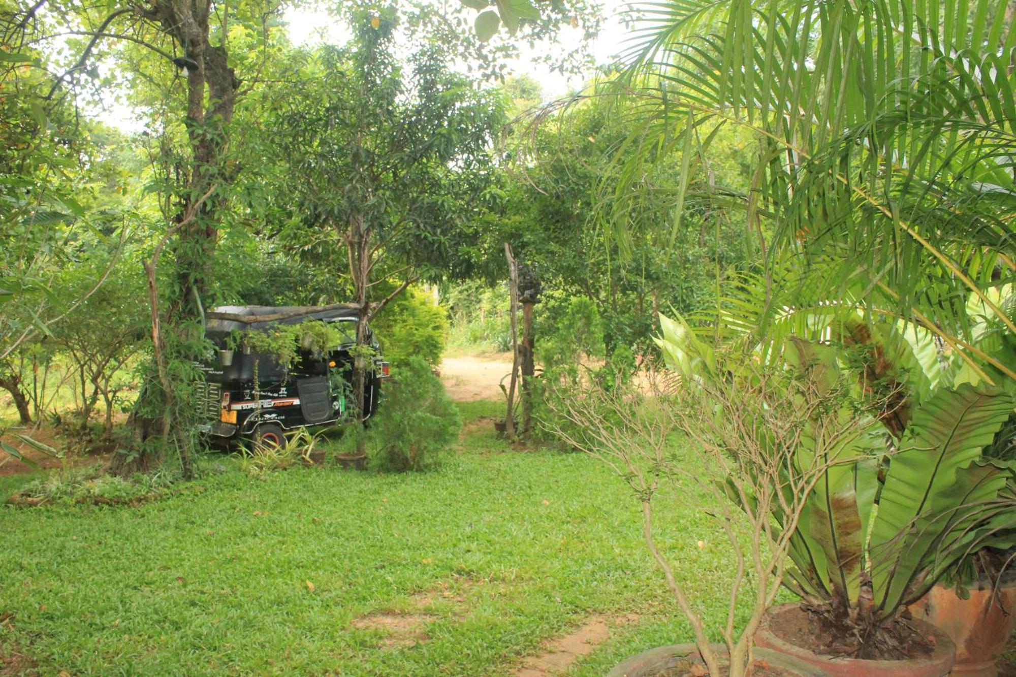 Sigiriya Nature View Home Stay Eksteriør bilde